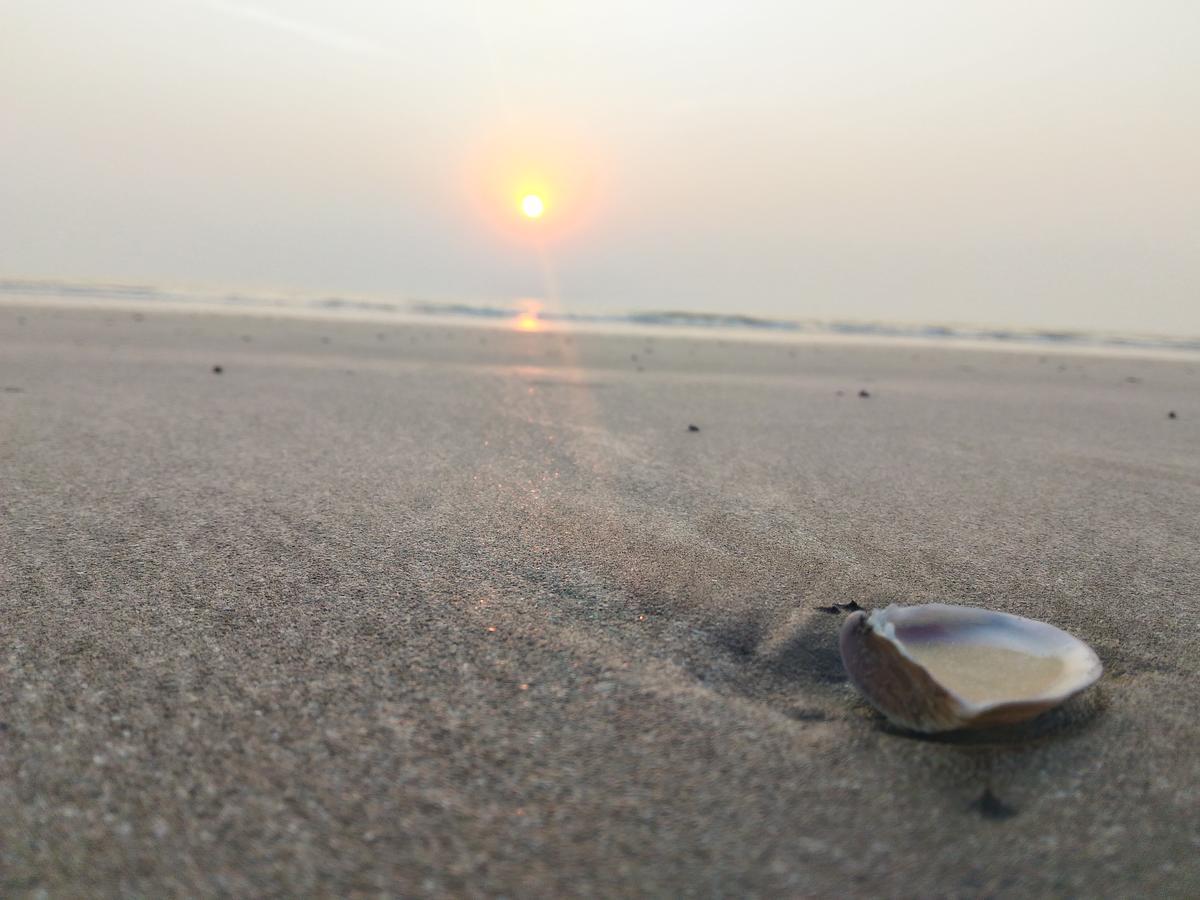 Bangli, The Finest Konkan Living Dapoli Bagian luar foto